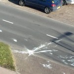 Na horror-uil in Purmerend nu monstermeeuw in Amersfoort